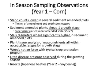 In Season Sampling Observations
(Year 1 – Corn)
• Stand counts lower in several sediment amended plots
• Timing of amendment and seed corn maggot
• Sediment amended plants ahead 1 growth stage
• Taller plants in sediment amended soils (V5-V7)
• Stalk diameters where significantly higher in sediment
amended plots
• Plant tissue analysis of macronutrients all within
acceptable ranges for growth stage
• Weeds not an issue with typical crop protection
program
• Little disease pressure observed during the growing
season
• Insects (Japanese beetles (Year 2 – Soybeans))
 
