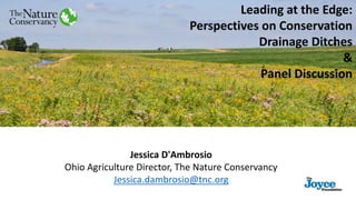 Leading at the Edge:
Perspectives on Conservation
Drainage Ditches
&
Panel Discussion
Jessica D'Ambrosio
Ohio Agriculture Director, The Nature Conservancy
Jessica.dambrosio@tnc.org
 