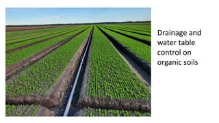 Drainage and
water table
control on
organic soils
 
