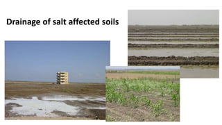 Drainage of salt affected soils
 