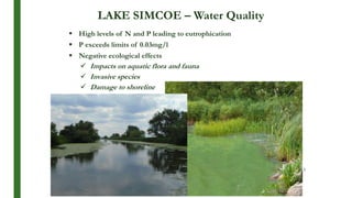 LAKE SIMCOE – Water Quality
 High levels of N and P leading to eutrophication
 P exceeds limits of 0.03mg/l
 Negative ecological effects
 Impacts on aquatic flora and fauna
 Invasive species
 Damage to shoreline
3
 