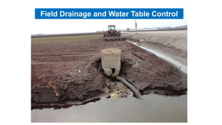 Field Drainage and Water Table Control
 