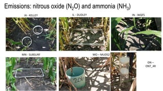 Emissions: nitrous oxide (N2O) and ammonia (NH3)
IA - KELLEY IL - DUDLEY IN - WQFS
MN - SUBSURF MO – MUDS2
ON –
ONT_4R
 