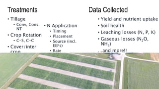Treatments
• Tillage
• Conv, Cons,
NT
• Crop Rotation
• C-S, C-C
• Cover/inter
crop
• N Application
• Timing
• Placement
• Source (incl.
EEFs)
• Rate
• Yield and nutrient uptake
• Soil health
• Leaching losses (N, P, K)
• Gaseous losses (N2O,
NH3)
…and more!!
Data Collected
 
