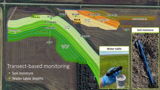 Water table
Soil moisture
Transect-based monitoring
 Soil moisture
 Water table depths
 
