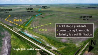 Plot B
Plot A
Southwest
zone
South
zone
Northeast
zone
Single field outlet
N
 2-3% slope gradients
 Loam to clay loam soils
 Salinity is a soil limitation
 