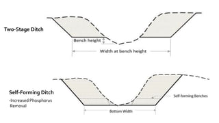 Two-Stage Ditch
Self-Forming Ditch
-Increased Phosphorus
Removal
 