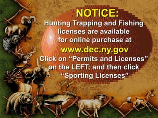NNOOTTIICCEE:: 
Hunting TTrraappppiinngg aanndd FFiisshhiinngg 
lliicceennsseess aarree aavvaaiillaabbllee 
ffoorr oonnlliinnee ppuurrcchhaassee aatt 
wwwwww..ddeecc..nnyy..ggoovv 
CClliicckk oonn ““PPeerrmmiittss aanndd LLiicceennsseess”” 
oonn tthhee LLEEFFTT;; aanndd tthheenn cclliicckk 
““SSppoorrttiinngg LLiicceennsseess”” 
 
