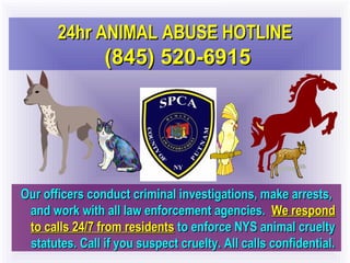 24hr AANNIIMMAALL AABBUUSSEE HHOOTTLLIINNEE 
(884455)) 552200-66991155 
OOuurr ooffffiicceerrss ccoonndduucctt ccrriimmiinnaall iinnvveessttiiggaattiioonnss,, mmaakkee aarrrreessttss,, 
aanndd wwoorrkk wwiitthh aallll llaaww eennffoorrcceemmeenntt aaggeenncciieess.. WWee rreessppoonndd 
ttoo ccaallllss 2244//77 ffrroomm rreessiiddeennttss ttoo eennffoorrccee NNYYSS aanniimmaall ccrruueellttyy 
ssttaattuutteess.. CCaallll iiff yyoouu ssuussppeecctt ccrruueellttyy.. AAllll ccaallllss ccoonnffiiddeennttiiaall.. 
 