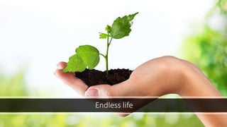 Endless life
 