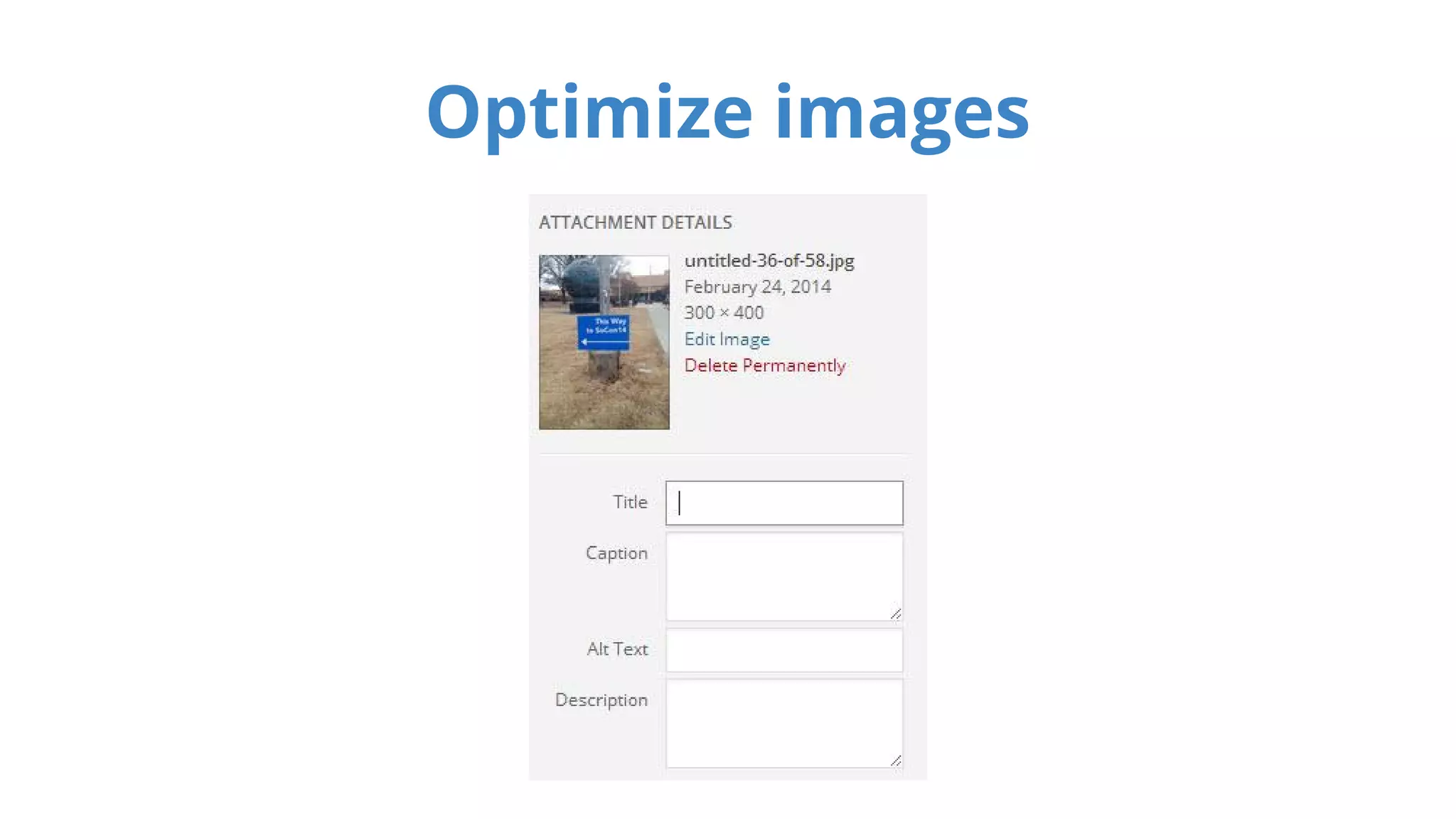 Optimize images 
 