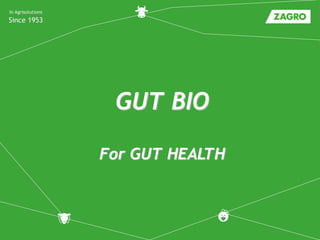 GUT BIO
For GUT HEALTH
 
