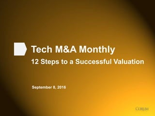 1
Tech M&A Monthly
12 Steps to a Successful Valuation
September 8, 2016
 