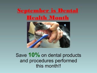 September is Dental
Health Month

Save 10% on dental products
and procedures performed
this month!!

 