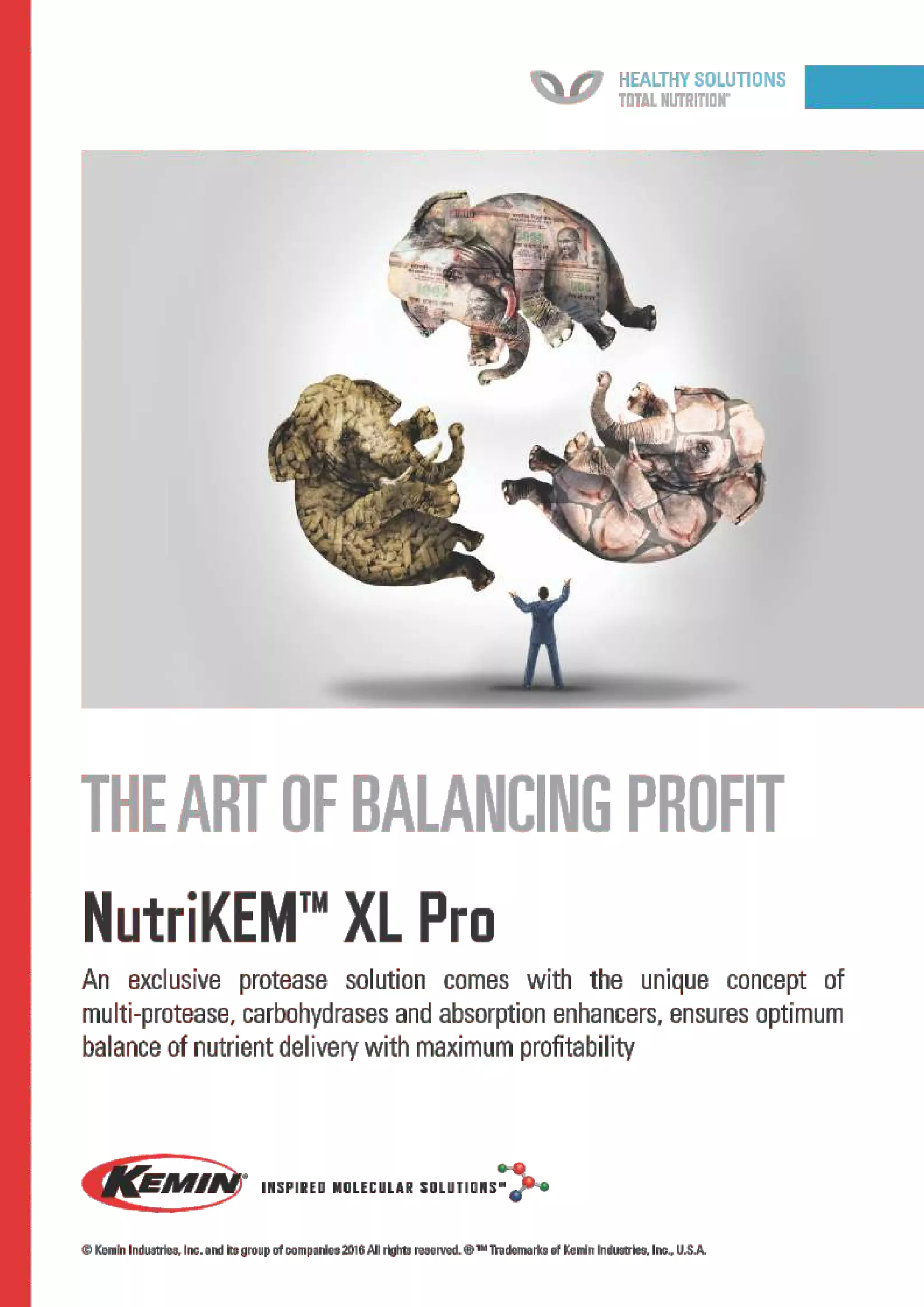 Think Grain Think Feed September