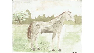 CreativeMornings/Montréal #COLOR slides by Heidi Taillefer (Sept 26th, 2014)