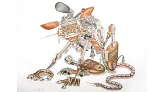 CreativeMornings/Montréal #COLOR slides by Heidi Taillefer (Sept 26th, 2014)