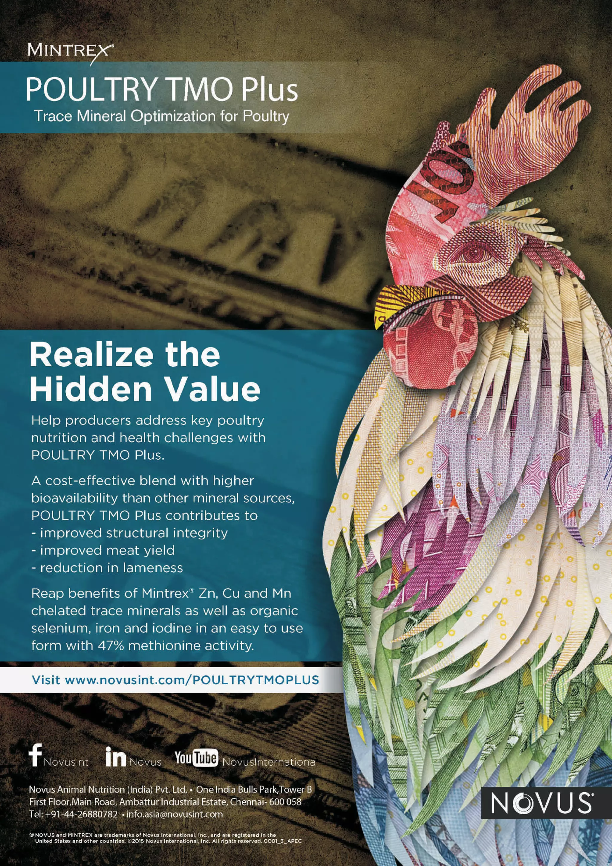 Think Grain Think Feed September issue