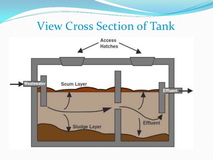 describe how a septic tank works