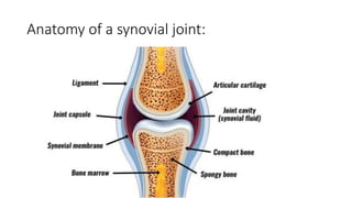 Anatomy of a synovial joint:
 