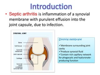 Introduction
• Septic arthritis is inflammation of a synovial
  membrane with purulent effusion into the
  joint capsule, due to infection.


                              Synovial membrane

                              Membrane surrounding joint
                              cavity
                              Produce synovial fluid
                              Contain rich capillary network
                              for phagocytic and hyaluronate-
                              producing function
 