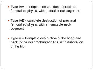  Type IVA – complete destruction of proximal
femoral epiphysis, with a stable neck segment.
 Type IVB - complete destruction of proximal
femoral epiphysis, with an unstable neck
segment.
 Type V – Complete destruction of the head and
neck to the intertrochanteric line, with dislocation
of the hip
 
