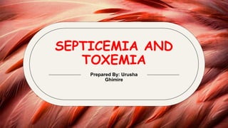 SEPTICEMIA AND
TOXEMIA
Prepared By: Urusha
Ghimire
 