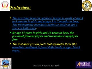 Ossification:
▪ The proximal femoral epiphysis begins to ossify at age 4
to 6 months in girls and at age 5 to 7 months in ...