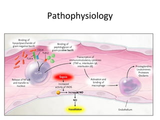 Pathophysiology
 
