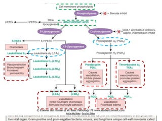 Bakteri gram
negative
Ikatan antara
LPS-CD-14
Ikatan antara
LPS-TLR 4 &2
transduksi sinyal intraseluler melalui
nuklear factor kappaB (NFkB), tyrosin
kinase(TK), protein kinase C (PKC),
suatu faktor transkripsi yang
menyebabkan diproduksinya RNA
sitokin oleh sel.
Bakteri gram
positive
Ikatan antara dinding sel bakteri
gram + (LPS ,LTA, peptidogylycan
- TLR)
transduksi sinyal intraseluler melalui
nuklear factor kappaB (NFkB), tyrosin
kinase(TK), protein kinase C (PKC),
suatu faktor transkripsi yang
menyebabkan diproduksinya RNA
sitokin oleh sel.
Superantigen
Mampu mengaktifasi
secaera lngsung Th 
Cytokines pro inflamatory
 