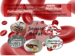 • Sepsis Berat terbukti adanya sepsis yang
disertai disfungsi multi organ/ Multi Organ
Dysfunction (MOD) (hipotensi, hipoksemia,
oliguria, metabolik asidosis, thrombositopenia)
 