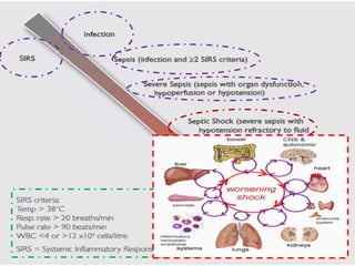 Septic shock
