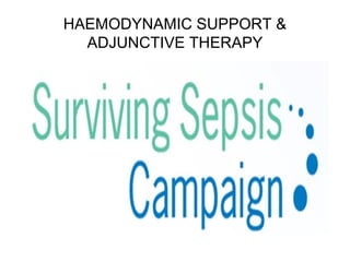 HAEMODYNAMIC SUPPORT &
ADJUNCTIVE THERAPY
 