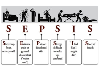 Septic shock management