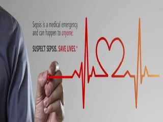 Septic shock management