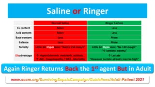 Acidic Ringer The Golden Hour in Septic Shock Resuscitation