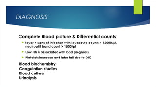 DIAGNOSIS
Complete Blood picture & Differential counts
 fever + signs of infection with leucocyte counts > 15000/µl,
neutrophil band count > 1500/µl
 Low Hb is associated with bad prognosis
 Platelets increase and later fall due to DIC
Blood biochemistry
Coagulation studies
Blood culture
Urinalysis
 