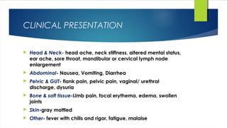 CLINICAL PRESENTATION
 Head & Neck- head ache, neck stiffness, altered mental status,
ear ache, sore throat, mandibular or cervical lymph node
enlargement
 Abdominal- Nausea, Vomiting, Diarrhea
 Pelvic & GUT- flank pain, pelvic pain, vaginal/ urethral
discharge, dysuria
 Bone & soft tissue-Limb pain, focal erythema, edema, swollen
joints
 Skin-gray mottled
 Other- fever with chills and rigor, fatigue, malaise
 