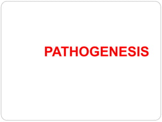 PATHOGENESIS
 