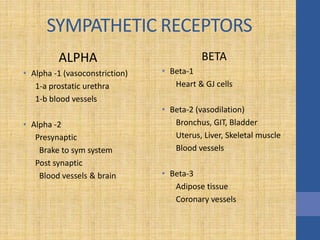 SYMPATHETIC RECEPTORS
ALPHA
• Alpha -1 (vasoconstriction)
1-a prostatic urethra
1-b blood vessels
• Alpha -2
Presynaptic
Brake to sym system
Post synaptic
Blood vessels & brain
BETA
• Beta-1
Heart & GJ cells
• Beta-2 (vasodilation)
Bronchus, GIT, Bladder
Uterus, Liver, Skeletal muscle
Blood vessels
• Beta-3
Adipose tissue
Coronary vessels
 