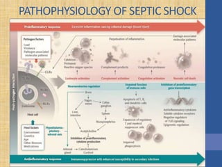 PATHOPHYSIOLOGY OF SEPTIC SHOCK
 