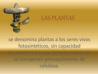 LAS PLANTAS
se denomina plantas a los seres vivos
fotosintéticos, sin capacidad
locomotora y cuyas paredes celulares
se componen principalmente de
celulosa.
 
