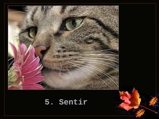 5. Sentir

 