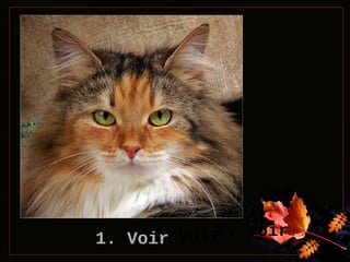 1. Voir
1. Voir
1. Voir

 