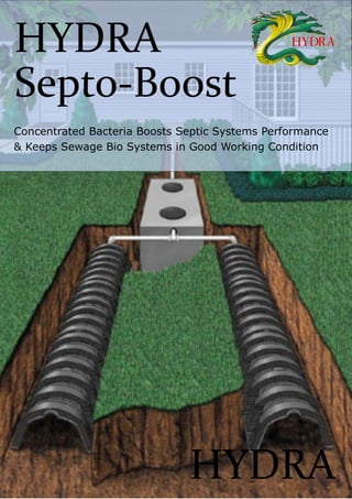 HYDRA 
HYDRA 
Septo-Boost 
Concentrated Bacteria Boosts Septic Systems Performance & Keeps Sewage Bio Systems in Good Working Condition  