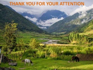 THANK YOU FOR YOUR ATTENTION
 