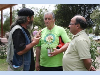 Septuagsimooctavo 141210185553-conversion-gate02-1