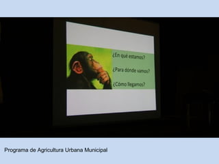 Programa de Agricultura Urbana Municipal 
 