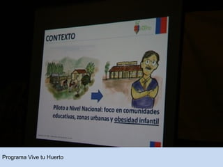 Programa Vive tu Huerto 
 