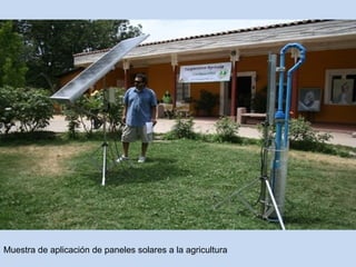 Muestra de aplicación de paneles solares a la agricultura 
 